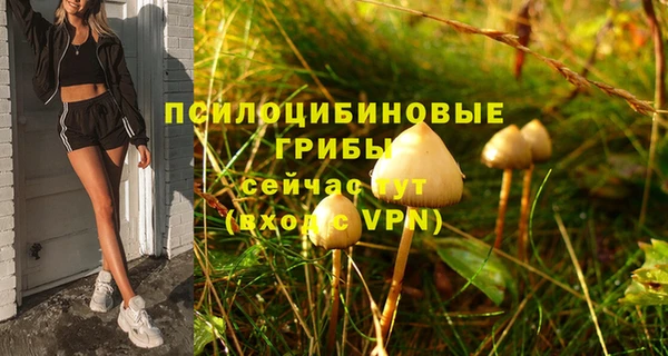 apvp Абаза