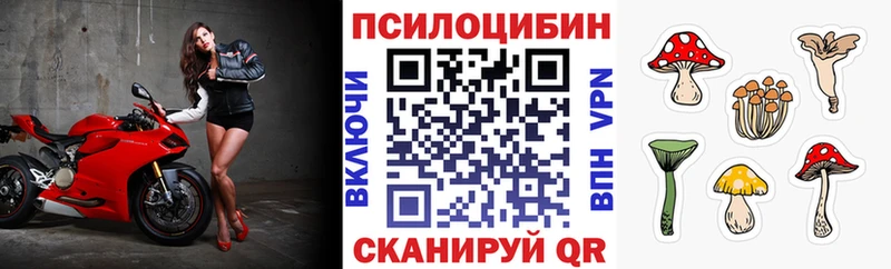 кракен онион  Псков  Галлюциногенные грибы Cubensis 