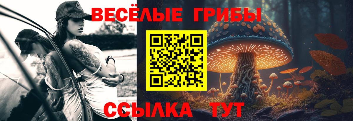 Псков  купить  сайты  Вход с VPN  Галлюциногенные грибы Cubensis 